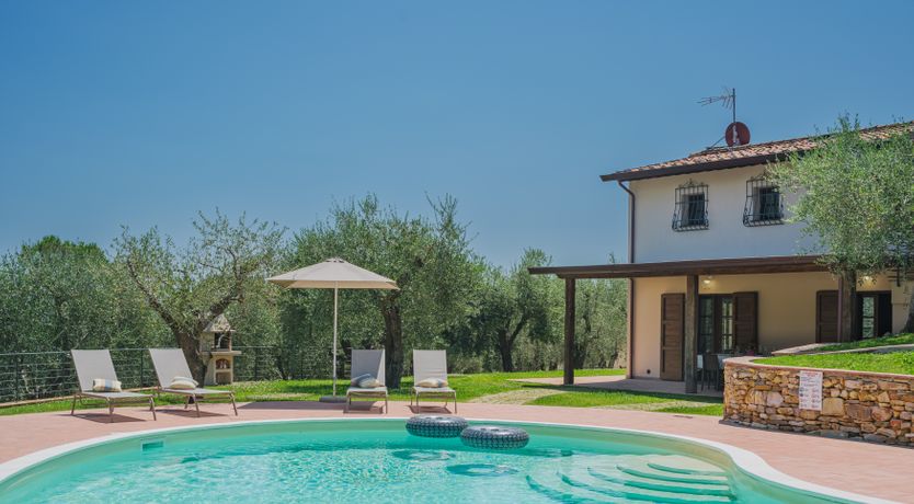 Photo of Dante's Olive Trees