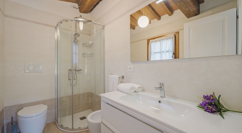 Photo of Dante's Olive Trees