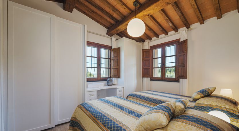 Photo of Dante's Olive Trees