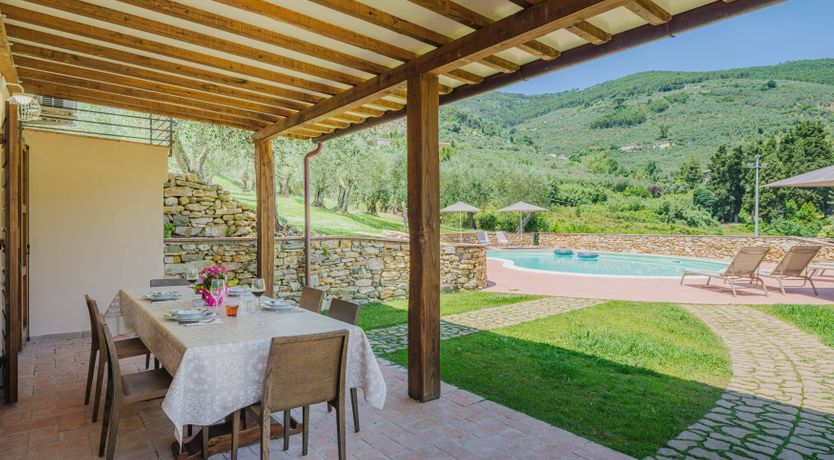 Photo of Dante's Olive Trees