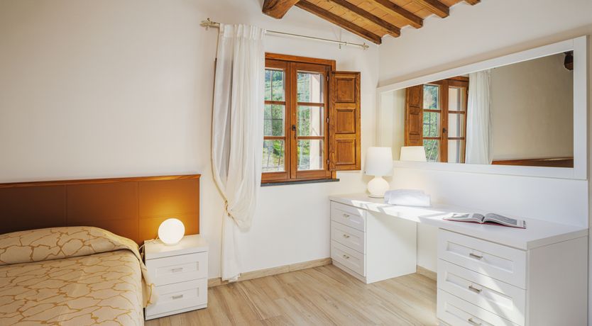 Photo of Dante's Olive Trees