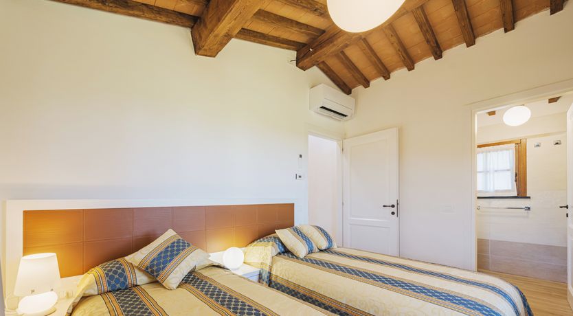 Photo of Dante's Olive Trees