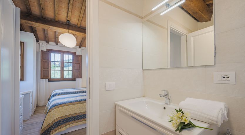 Photo of Dante's Olive Trees