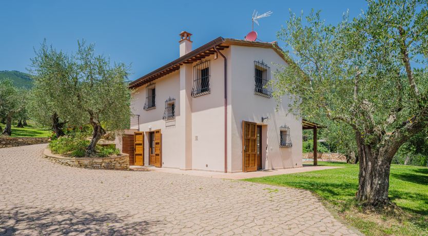 Photo of Dante's Olive Trees