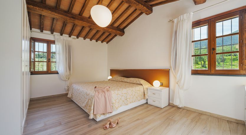 Photo of Dante's Olive Trees