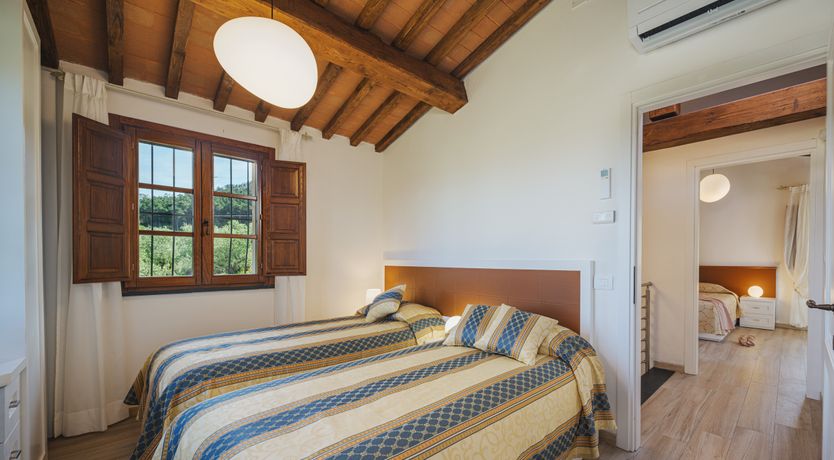 Photo of Dante's Olive Trees