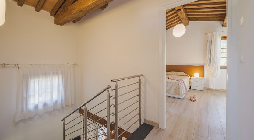 Photo of Dante's Olive Trees