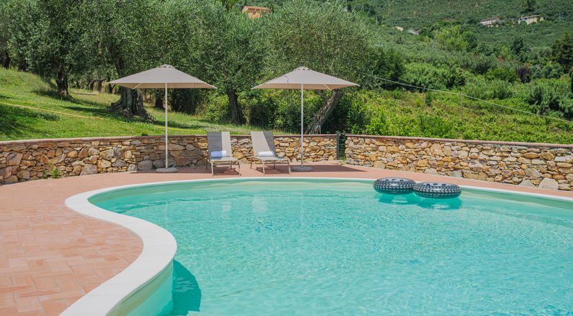 Photo of Dante's Olive Trees