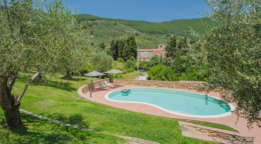 Photo of Dante's Olive Trees