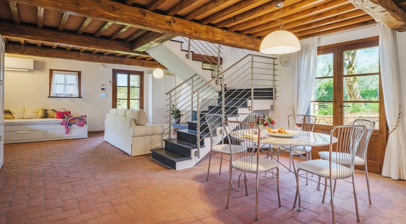 Photo of Dante's Olive Trees