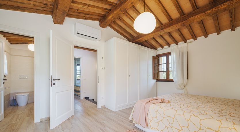 Photo of Dante's Olive Trees