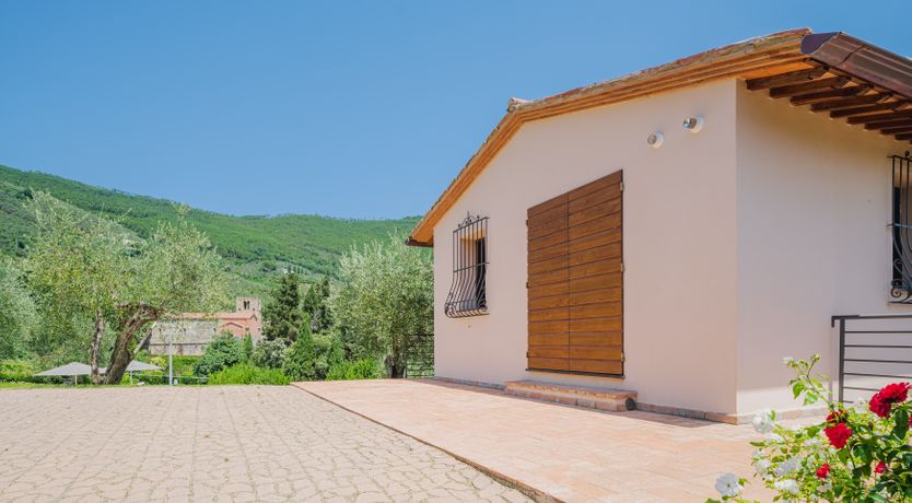 Photo of Dante's Olive Trees
