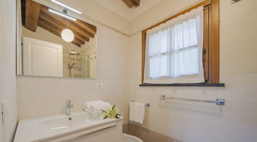 Photo of Dante's Olive Trees