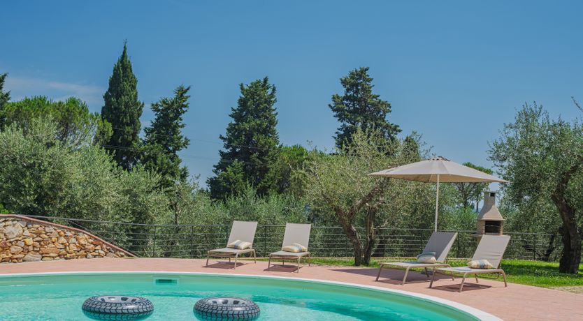 Photo of Dante's Olive Trees