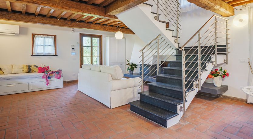 Photo of Dante's Olive Trees