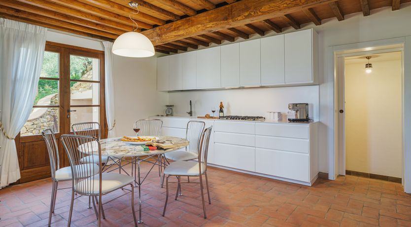 Photo of Dante's Olive Trees