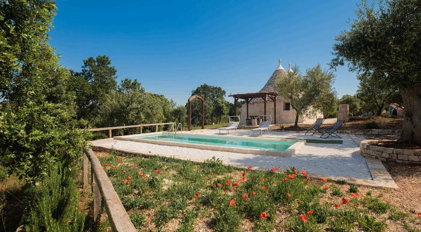 Photo of Olives & Countryside