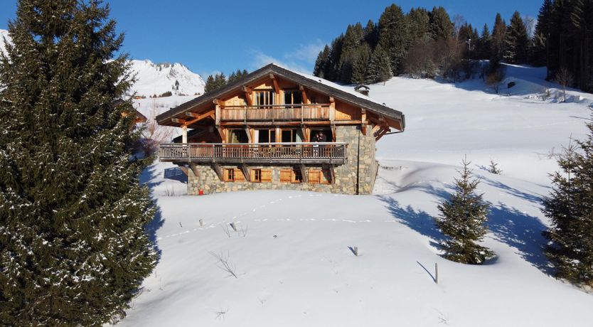 Photo of Snow-Kissed Silhouettes
