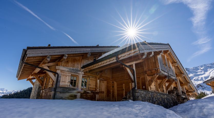 Photo of Snow-Kissed Silhouettes