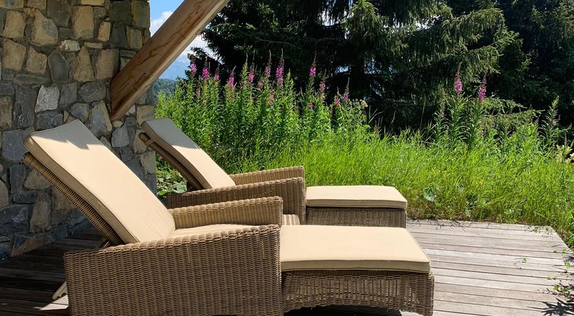 Photo of Snow-Kissed Silhouettes