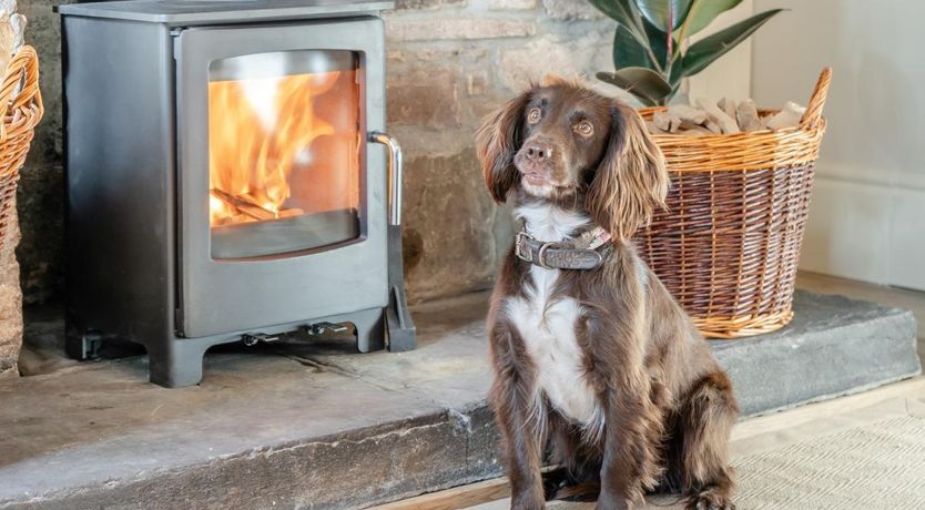 Photo of 2 Bed in Abercamlais