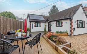 Photo of in Chard  (95683)