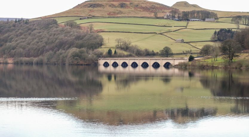 Photo of Shamrock Cottage