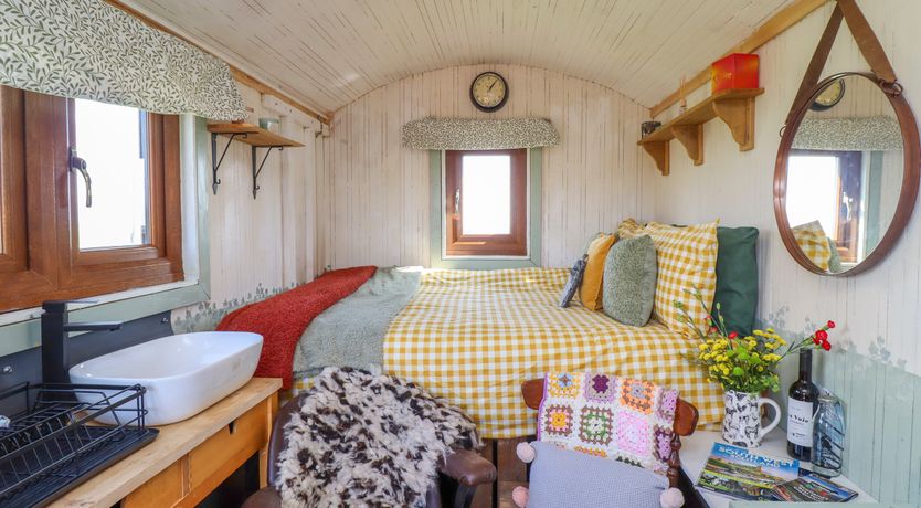 Photo of The Black Sheep