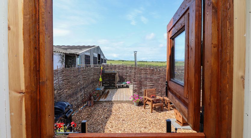 Photo of The Black Sheep