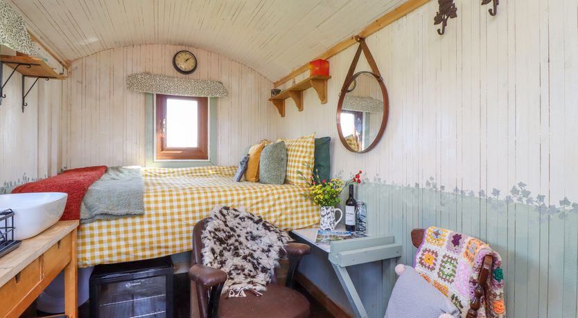 Photo of The Black Sheep