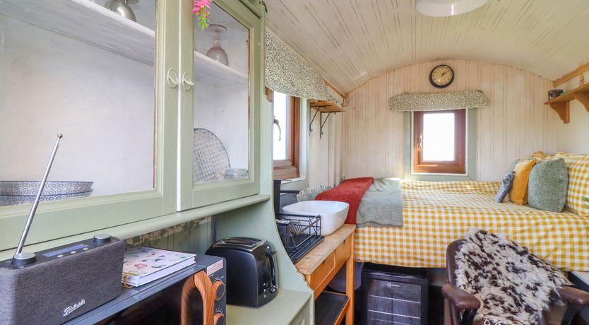 Photo of The Black Sheep