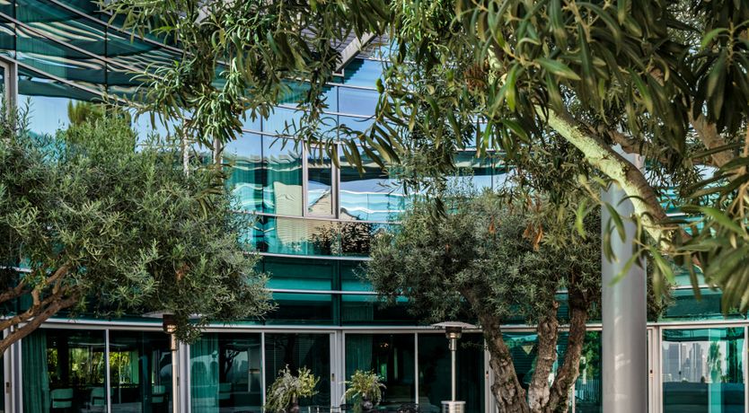 Photo of Soaring Heights