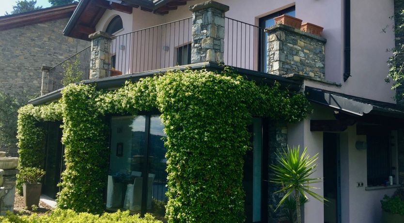 Photo of Olive & Pomegranate