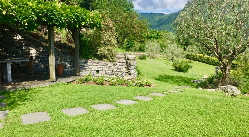 Photo of Olive & Pomegranate