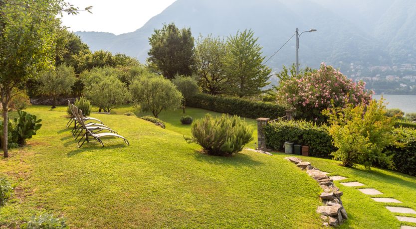 Photo of Olive & Pomegranate