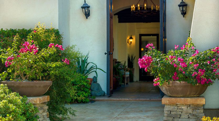 Photo of The King of Swing