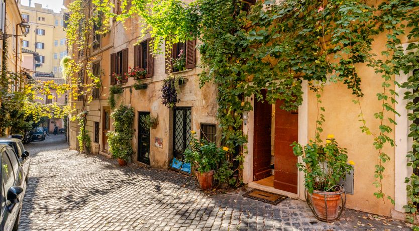 Photo of The Monti Muse