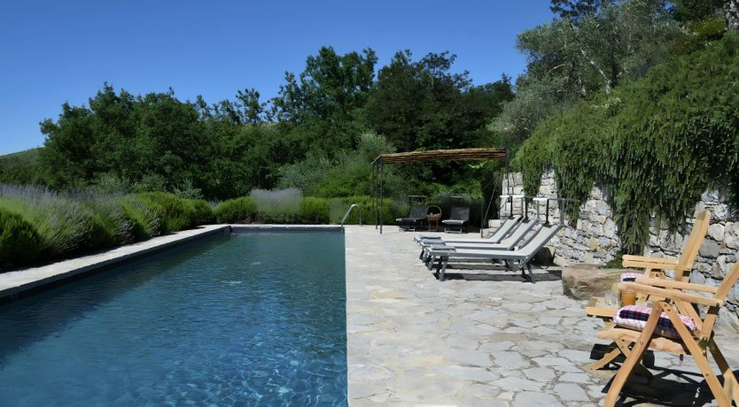 Photo of The Vines of the Vineyard