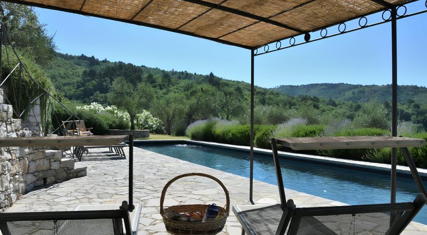 Photo of The Vines of the Vineyard