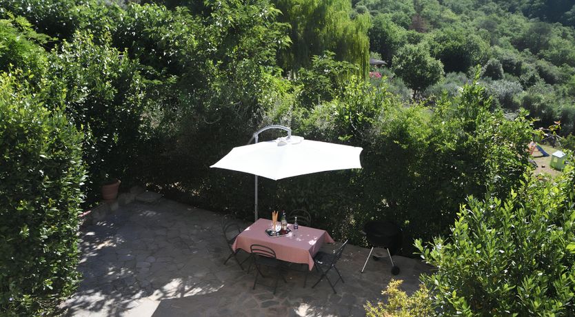 Photo of The Vines of the Vineyard