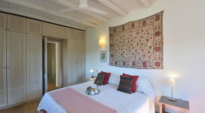 Photo of The Vines of the Vineyard