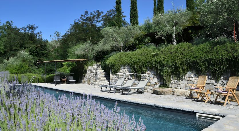 Photo of The Vines of the Vineyard