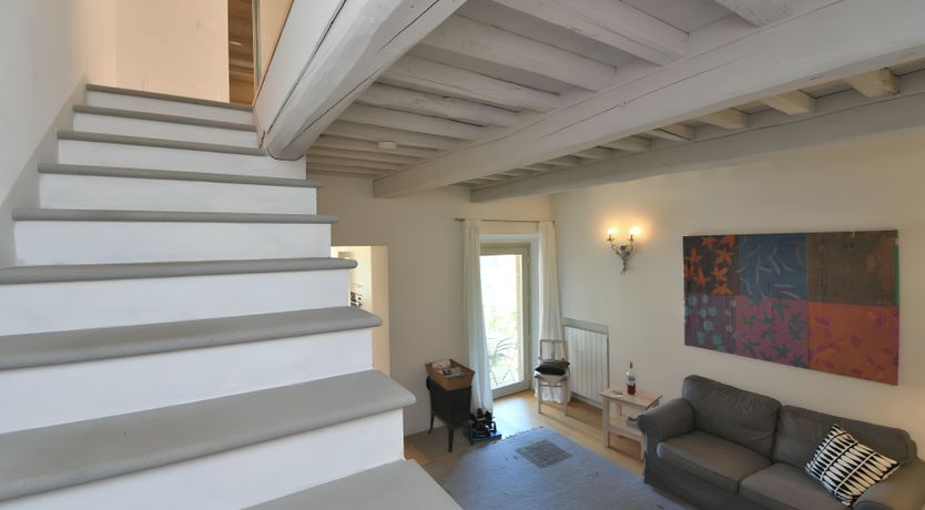 Photo of The Vines of the Vineyard