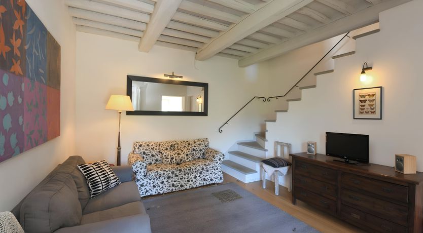 Photo of The Vines of the Vineyard