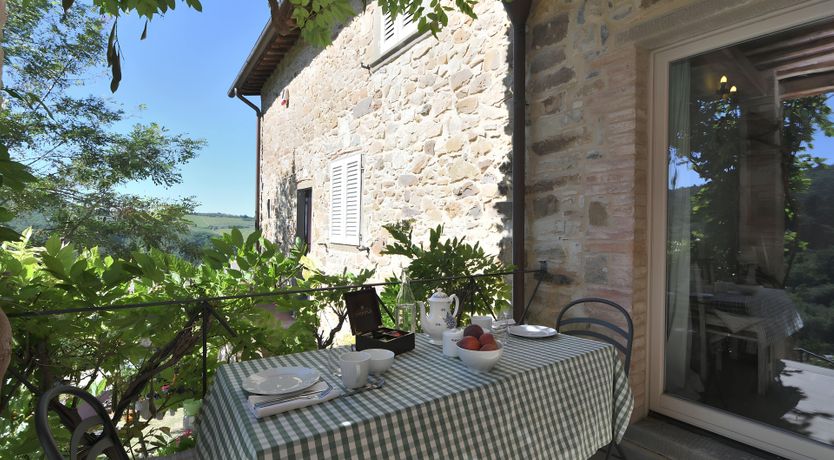 Photo of The Vines of the Vineyard