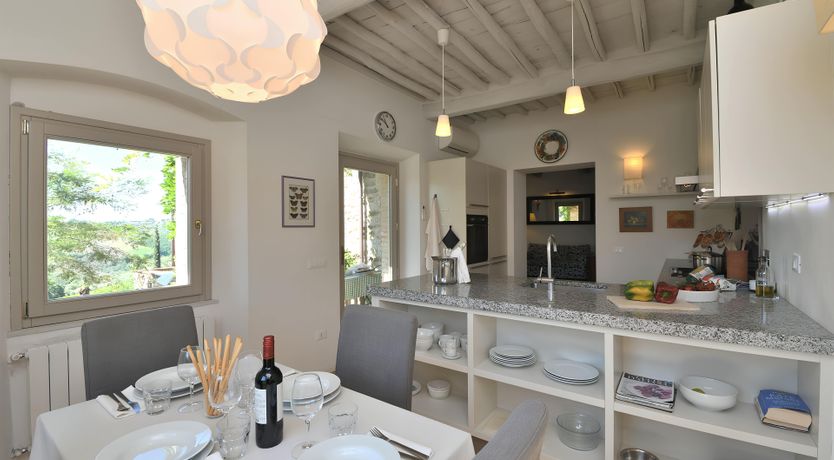 Photo of The Vines of the Vineyard