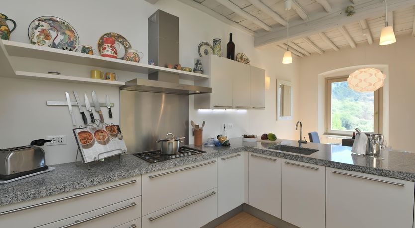 Photo of The Vines of the Vineyard