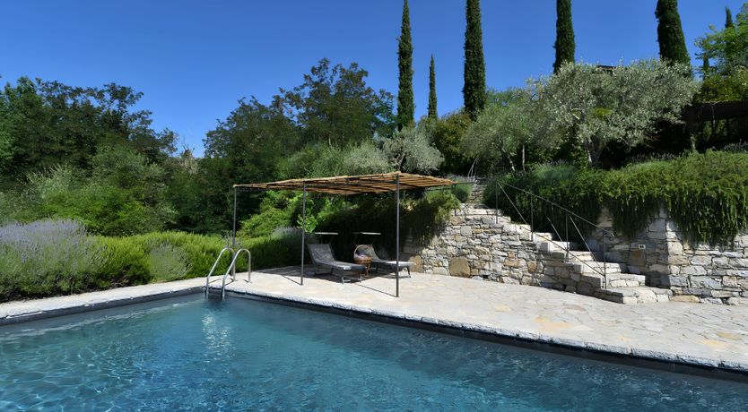 Photo of The Vines of the Vineyard