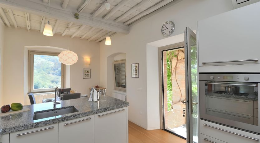 Photo of The Vines of the Vineyard