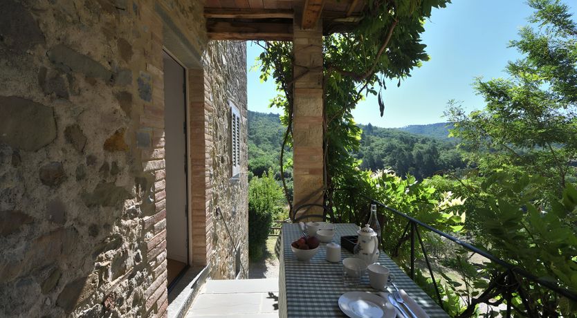 Photo of The Vines of the Vineyard